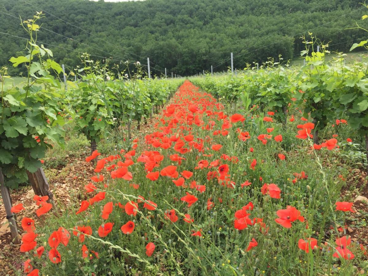 La Provencale B&B Duravel Kültér fotó